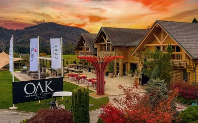 Always Evolving – Exciting News & Festive Highlights from Sala Group